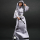 6" Black Series Princess Leia.